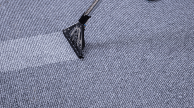 How to Choose the Right Carpet Cleaning Method