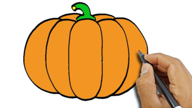 Cute:60bey1hu9lw= Pumpkin Drawing