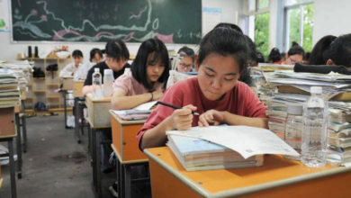 How Education Companies Can Expand with the Help of Local Chinese Agencies