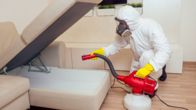 Why Residents Are Switching to Recurring House Cleaning and Pest Control Services
