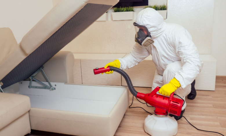 Why Residents Are Switching to Recurring House Cleaning and Pest Control Services