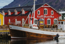 Into the Wild North: The Unmatched Thrill of an Iceland Cruise