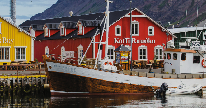 Into the Wild North: The Unmatched Thrill of an Iceland Cruise
