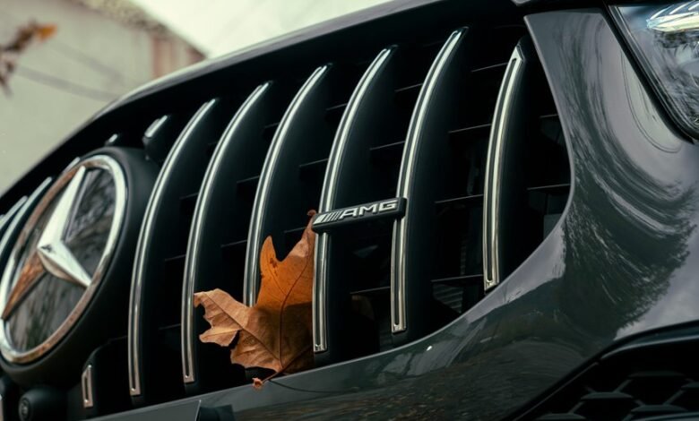 check nhentai website status