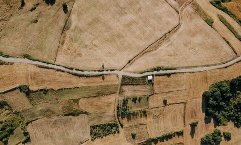 ivfree asia overview summary