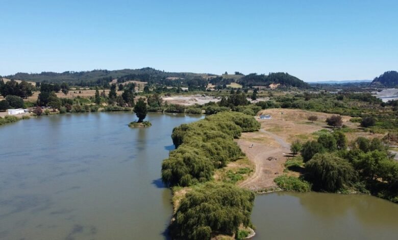 jilbonddevita website overview