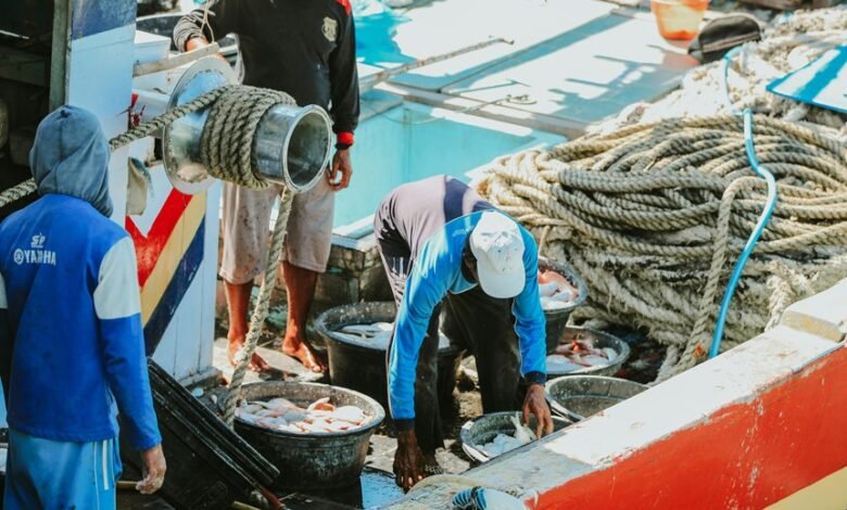 lacib net operational principles explained