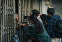 community reports on observations