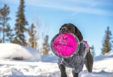 hyper cascade cyber orbit 3293907573