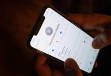 phone number with digits