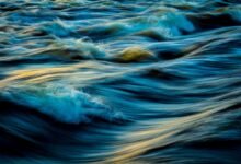 progressive industry insight strategic momentum