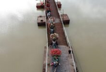 quantum bridge market flow dynamics