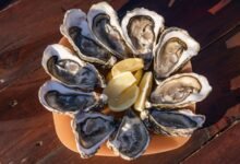 top benefits of oyster explained