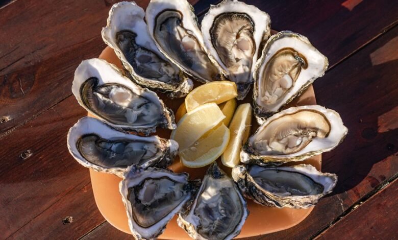 top benefits of oyster explained