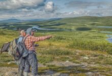ultimate 001000p05088 guide with tips